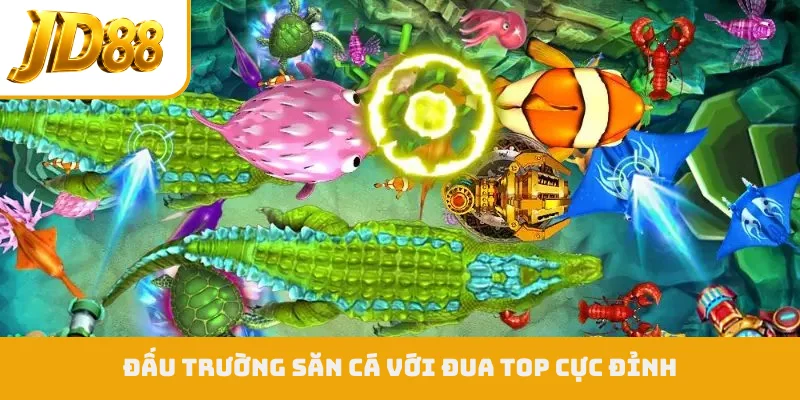 Đấu trường săn cá với đua top cực đỉnh