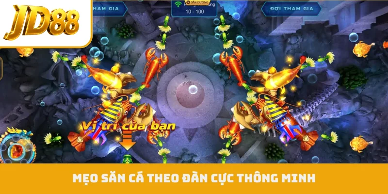 Mẹo săn cá theo đàn cực thông minh